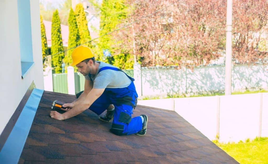 Prevent Future Moss Growth by Installing Zinc Strips