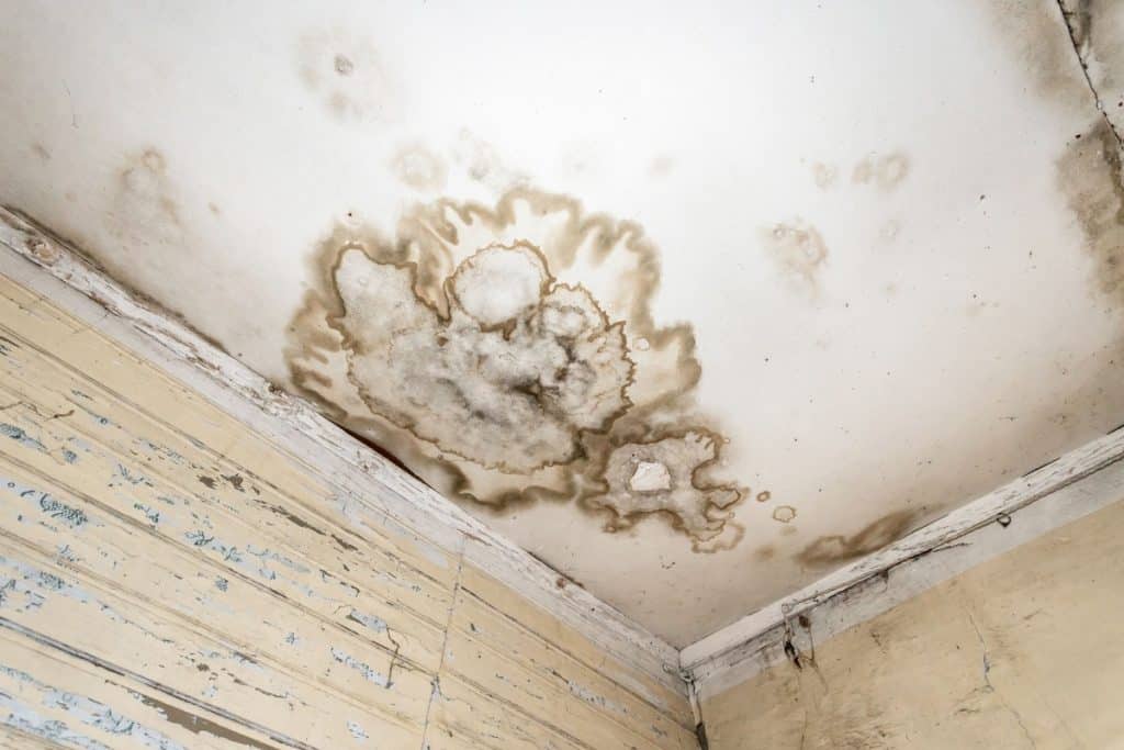 How to Deal with Brown Spots on the Ceiling?