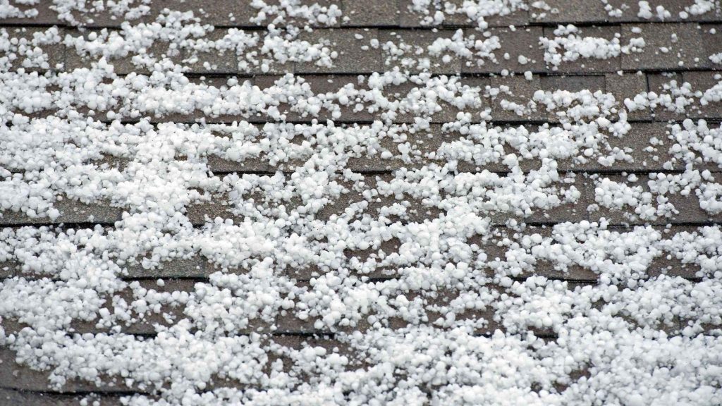 Shingle roof covered with hailstones