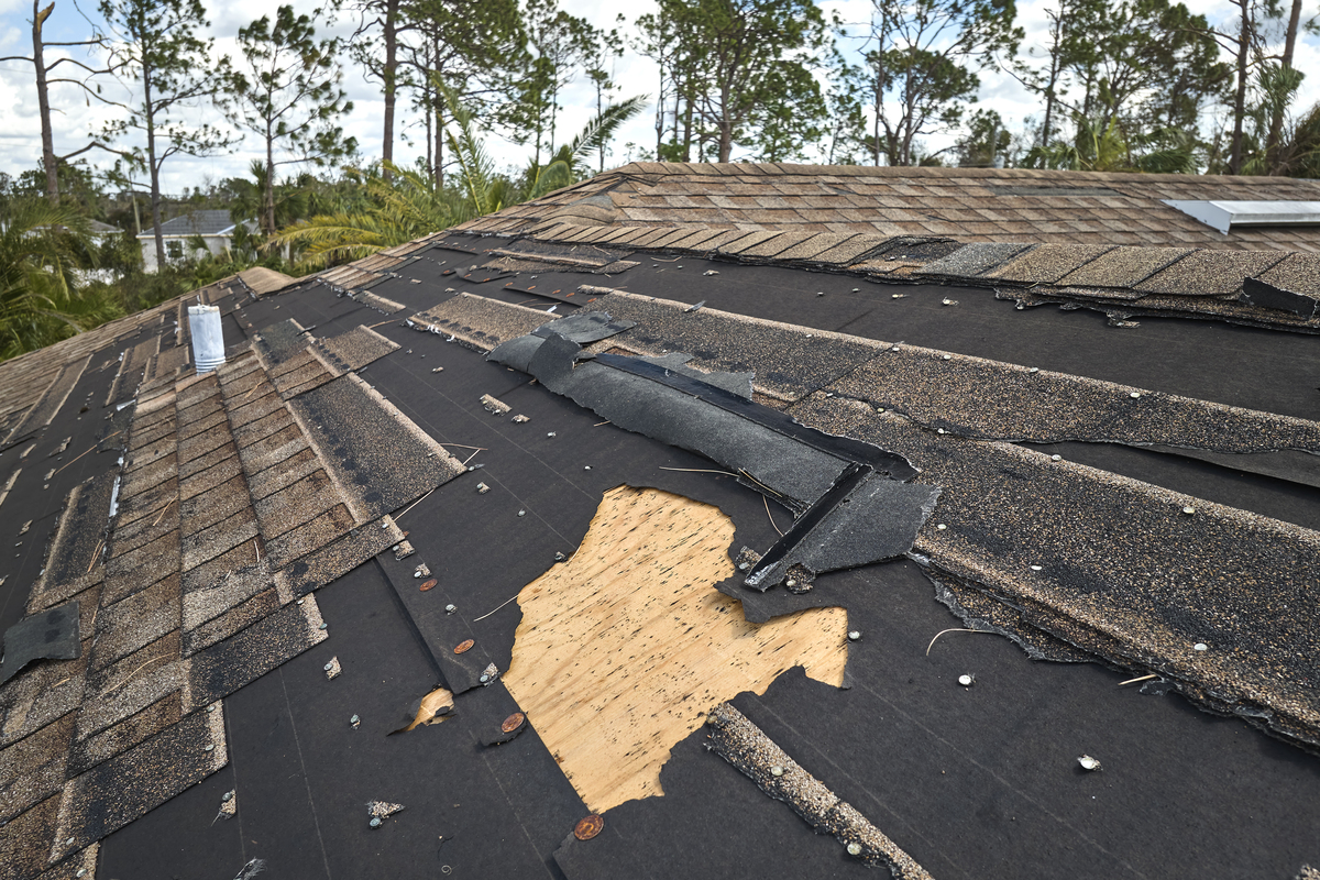 Understanding Roof Wind Damage, Cause, Effect & Prevention